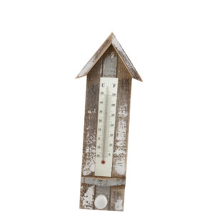 Thermometer