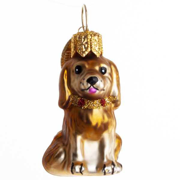 Hund Lysebrun - Brink Nordic