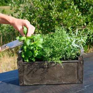 Alternative view of Joan Zinkkasse