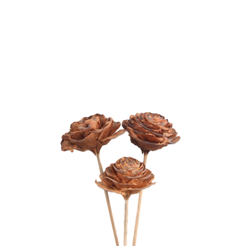 Ægte tørrede cedertræ rosepinde